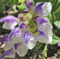 ���B�j���}��