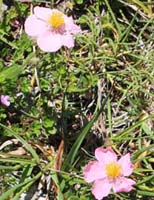 ���B�j���}��