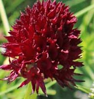 ���B�j���}��