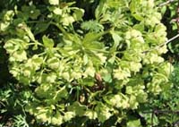 ���B�j���}��