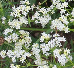 �A�����k�J