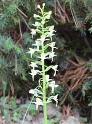 �A�����k�J