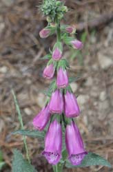 �A�����k�J