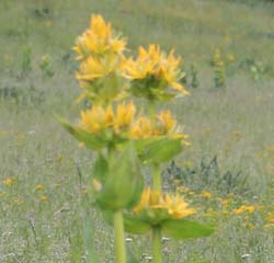 �A�����k�J