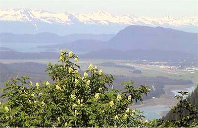 ���o�[�g�R02