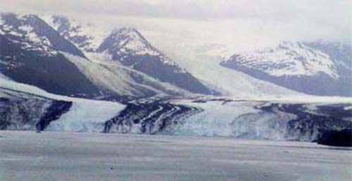 �n�[�o�[�h�X��