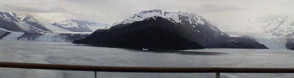 �n�[�o�[�h�X��02