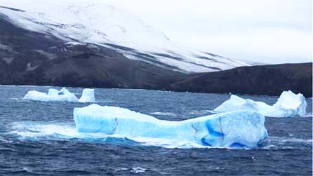 �f�Z�v�V������2