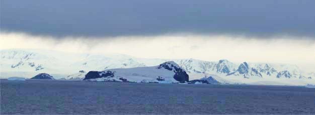 �m�C�}�C���[�X�͎���