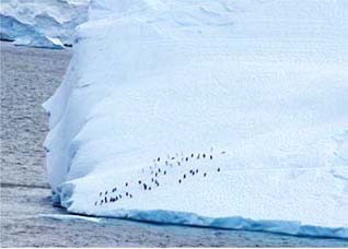 �y���M��