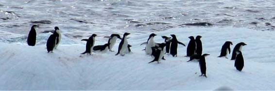 �y���M��