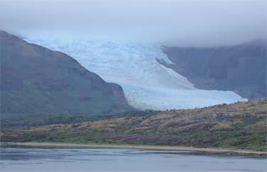 �t�F�S���t�B�����h