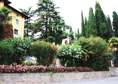 �V���~�I�[�l02