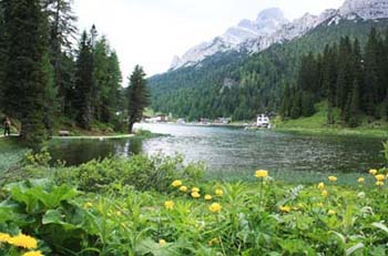 �~�Y���[�i��