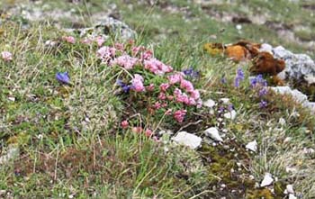 �[�[�t�F���g��