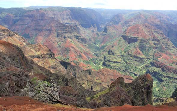 ���C���A�L���j�I��