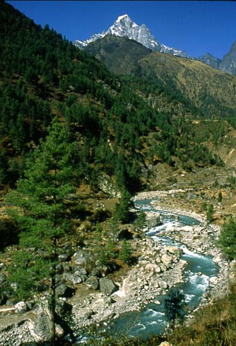 �h�[�g�E�R�V