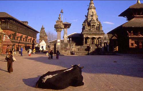 �J�g�}���Y