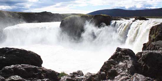 �S�[�U�t�H�X�̑�