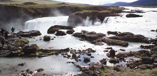 �S�[�U�t�H�X�̑�