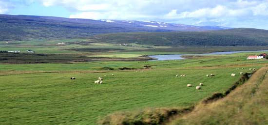 �A�N���C��