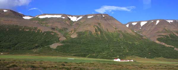 �A�N���C��