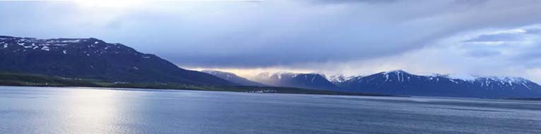 �A�N���C��