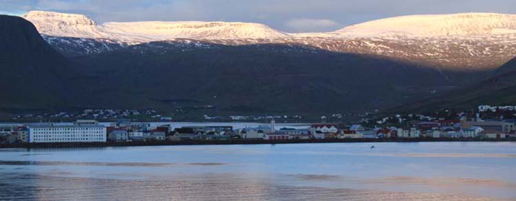 �C�[�T�t�B�����Y��