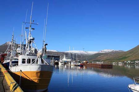 �C�[�T�t�B�����Y��