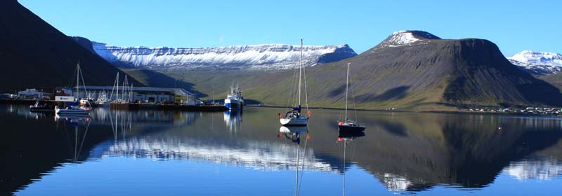 �C�[�T�t�B�����Y��