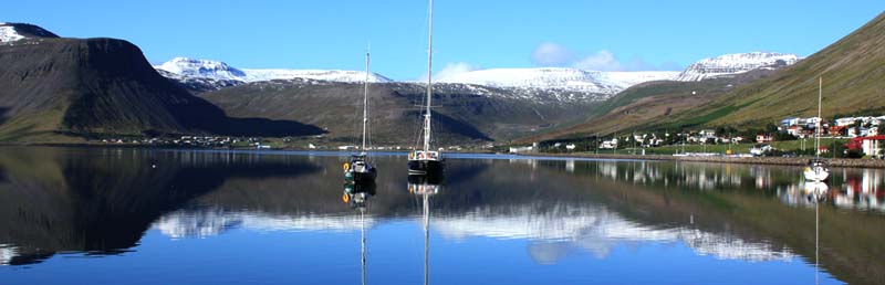 �C�[�T�t�B�����Y��