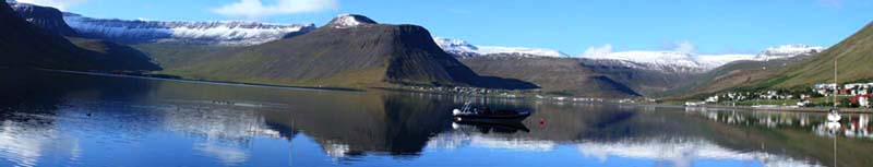 �C�[�T�t�B�����Y��