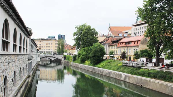 �����v�����[�i