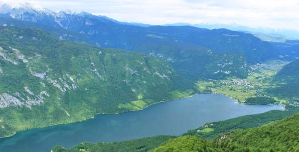 �{�[�q����