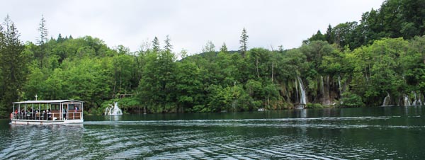 �v���g���B�b�c�F