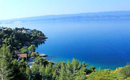 ���X�^����