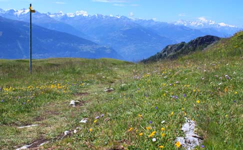 ���@���X�R�Q