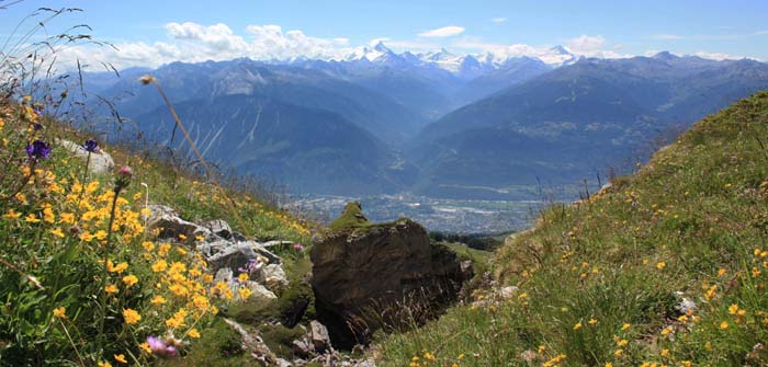 �N�����E�����^�i