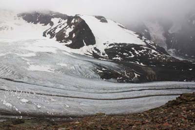 �f�B�A���H���b�c�@�W�]��