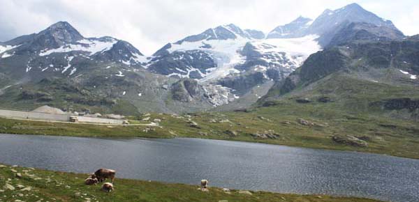 �s�b�c�E�x���j�i