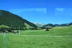 �S�[���f���p�X6