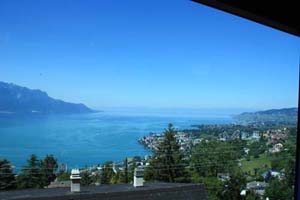 �S�[���f���p�X10