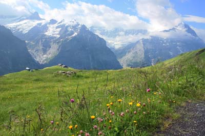 �t�B���X�g