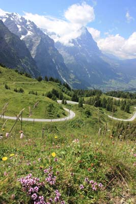 �O���[�Z�E�V���C�f�b�N