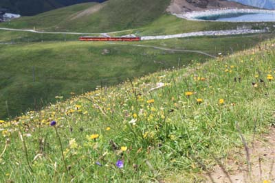 �A�C�K�[�E�O���b�`���[2