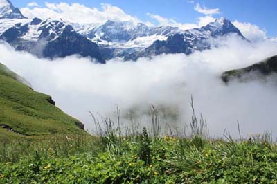 �o�b�n�[�[1