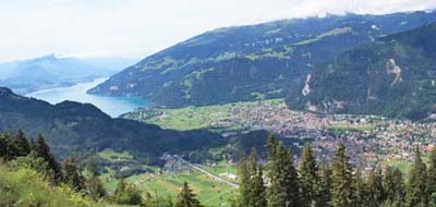 �V�[�j�Q�v���b�e