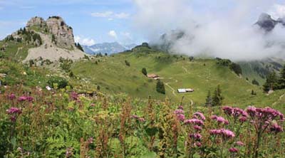 �V�[�j�Q�v���b�e3