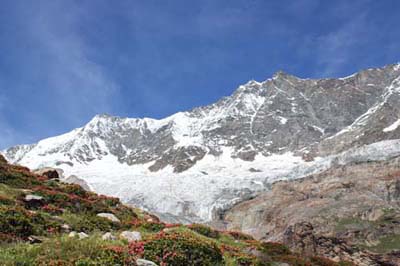 �V���s�[���{�[�f��4