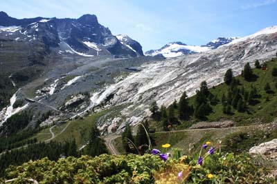 �V���s�[���{�[�f��5